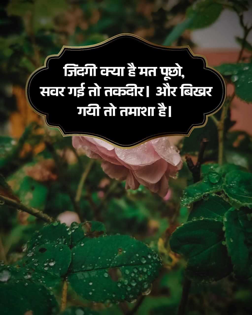 Good Morning