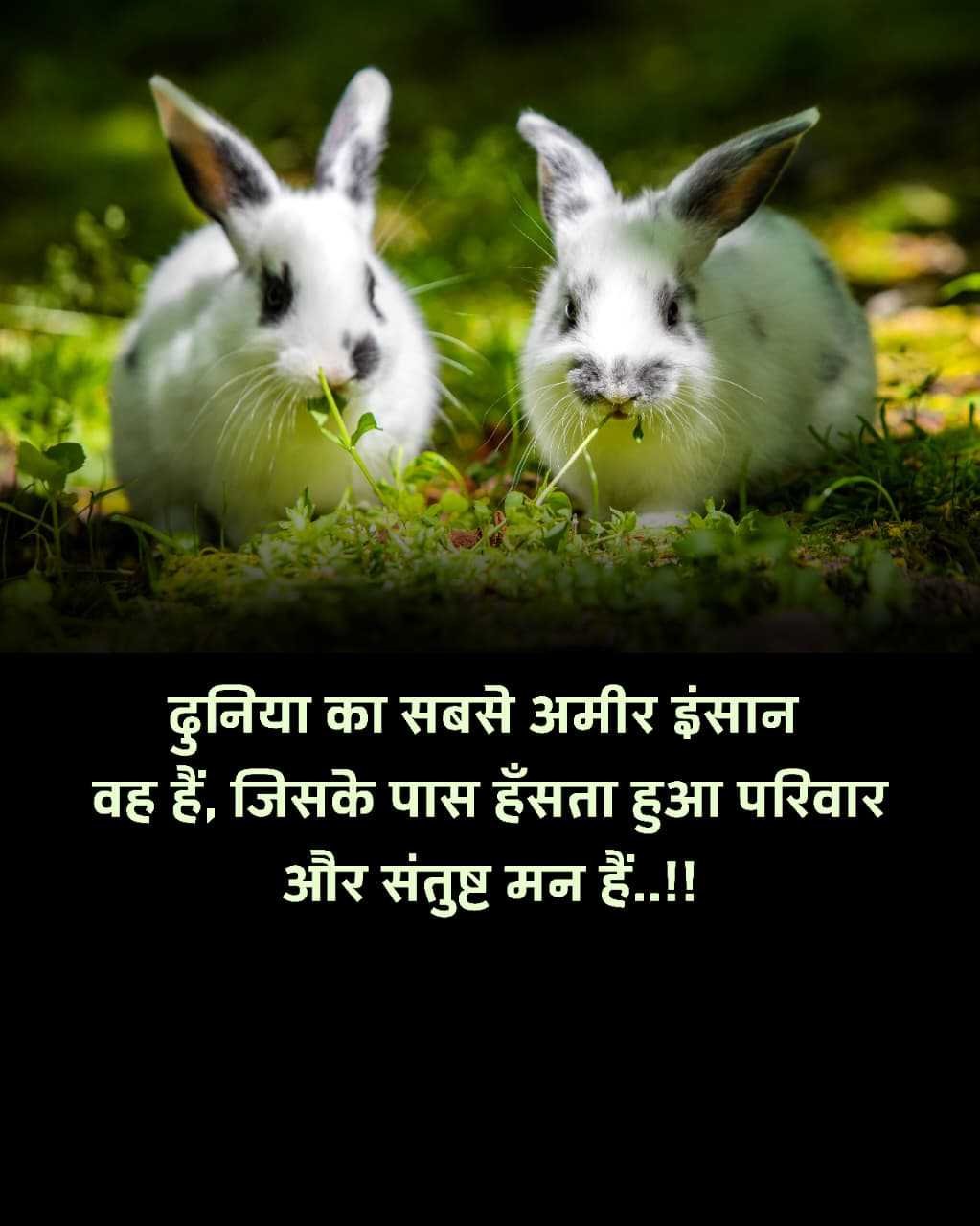 Good Morning